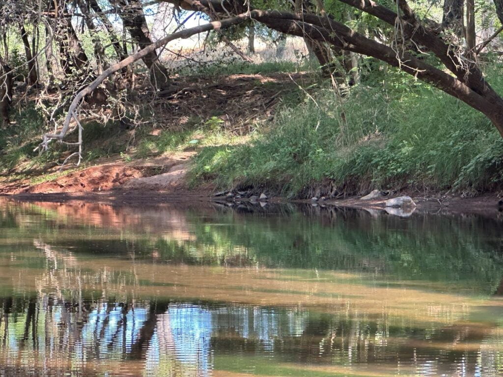 creek view behind UTC close up
